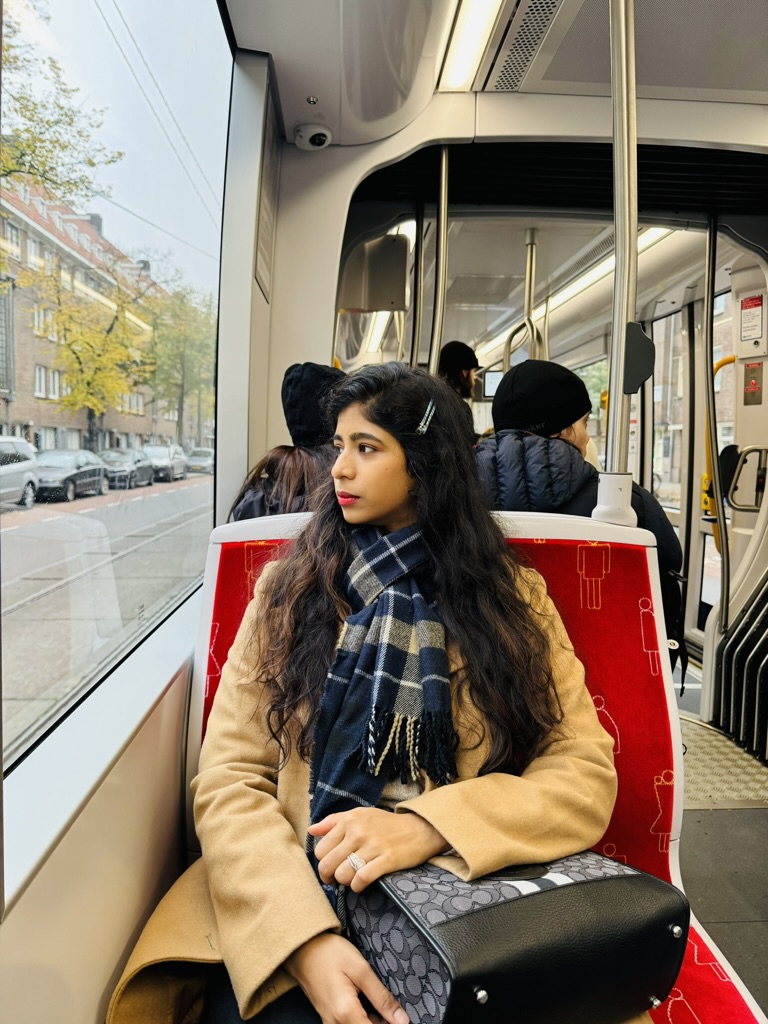 Amsterdam Roaming view 1
