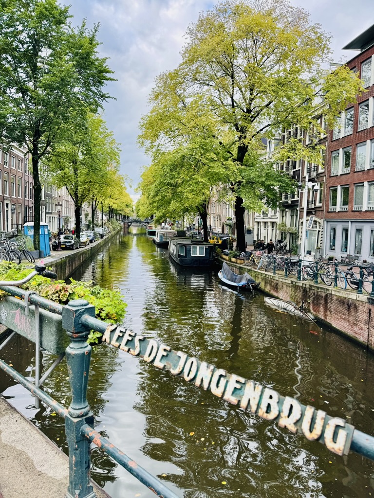 Amstel River view 2