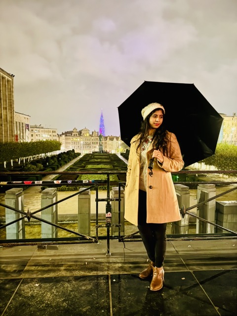 Mont des Arts