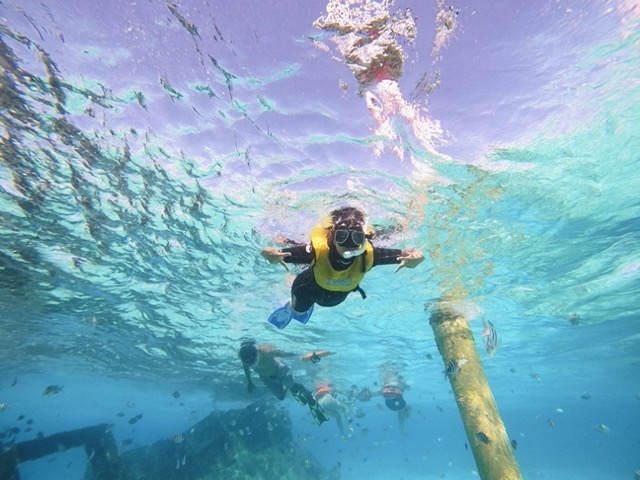 Under Water Museum