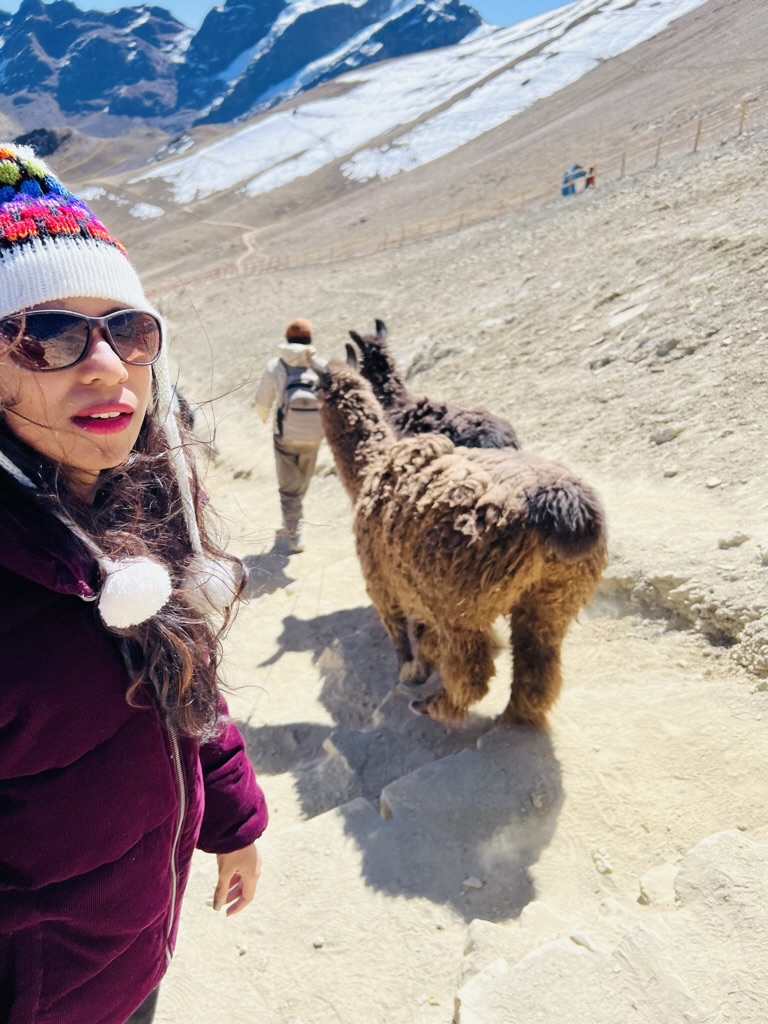 Alpacas view 2