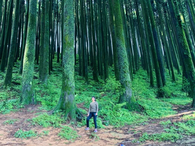 Standing in a mossy Himalayan forest