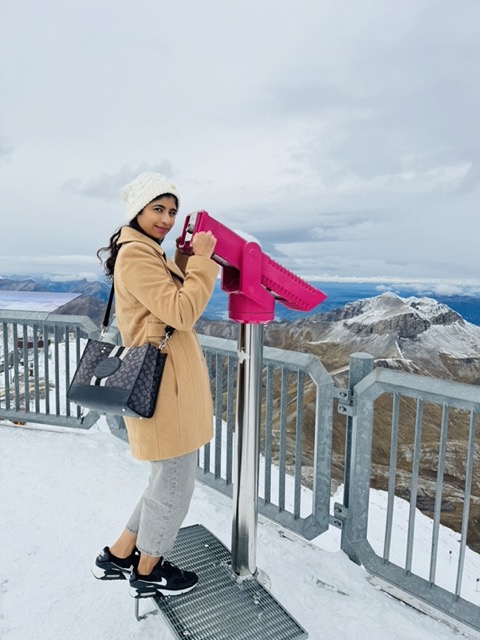 Alps from Piz Gloria