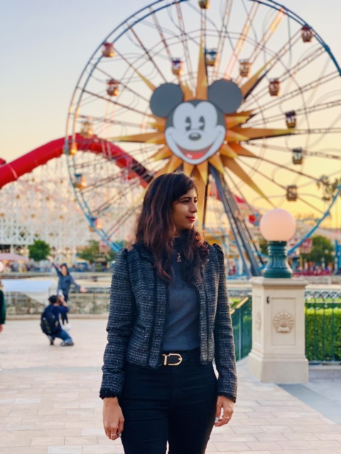 Disney Land view 1