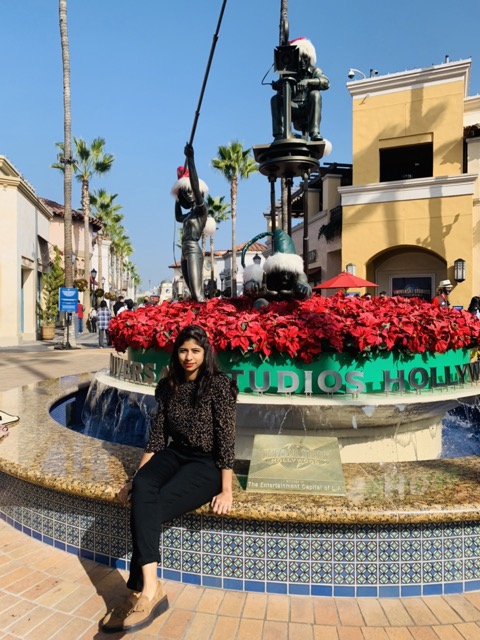 Universal Studios view 2
