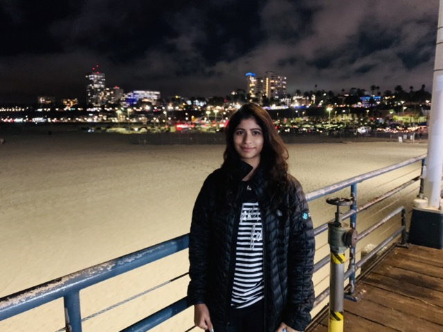 Santa Monica Pier view 1