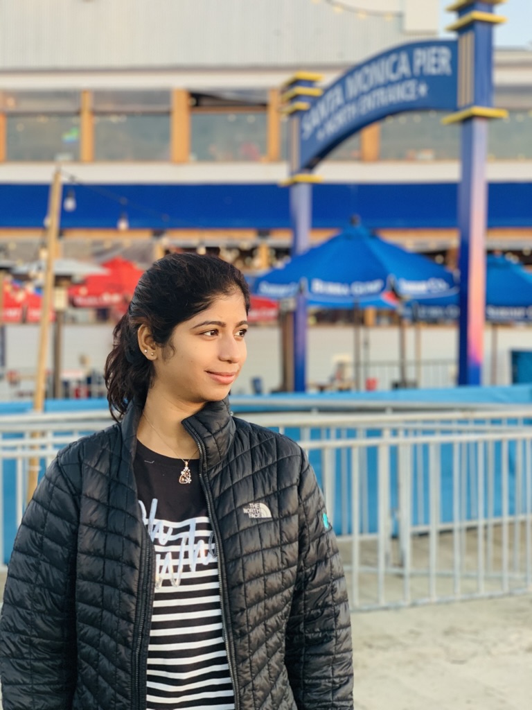 Santa Monica Pier view 2