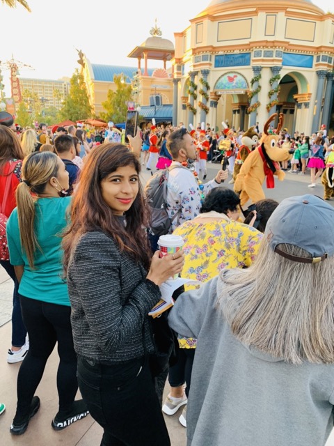 Disney Land view 2