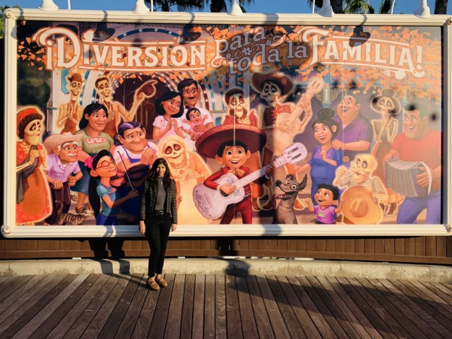 Disney Land view 3