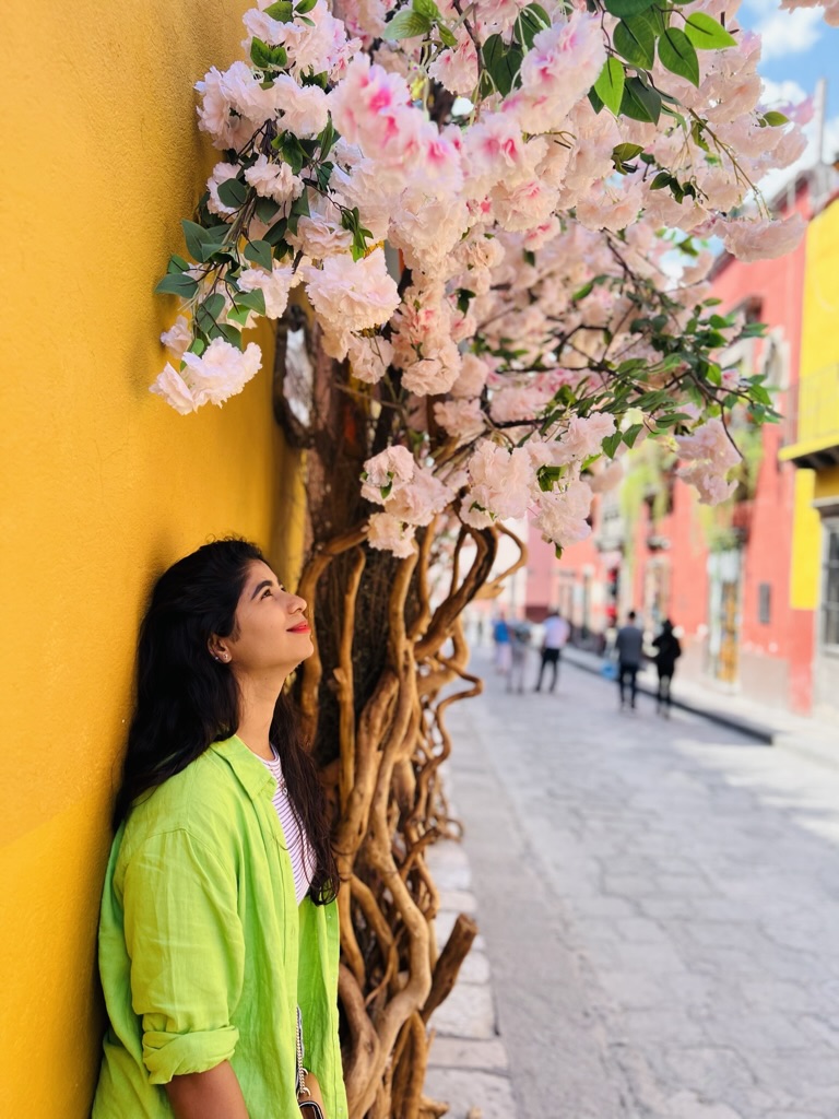 In the Vibrant Streets of San Miguel de Allende view 1