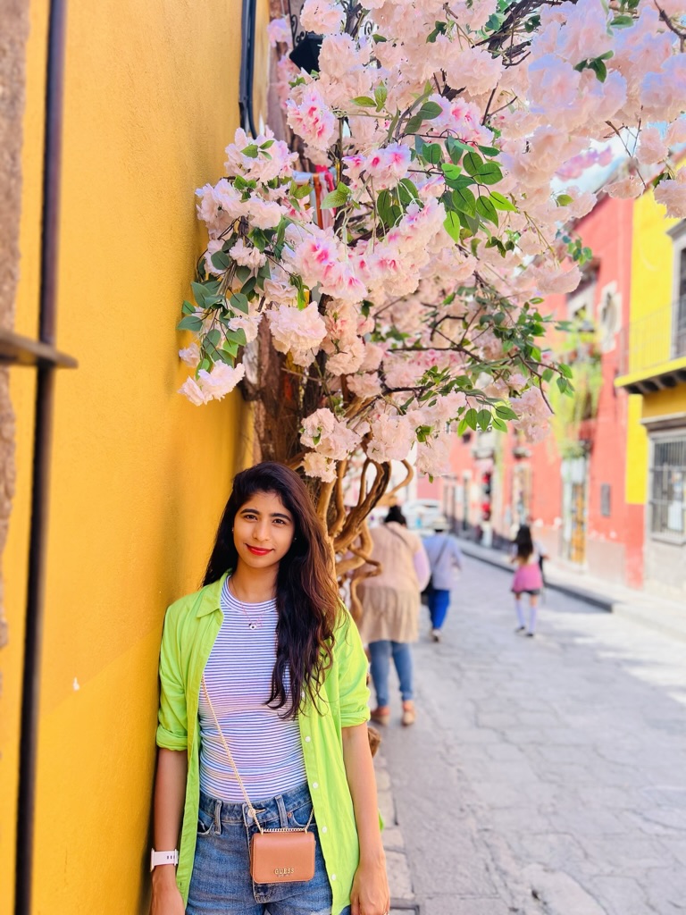 In the Vibrant Streets of San Miguel de Allende view 2