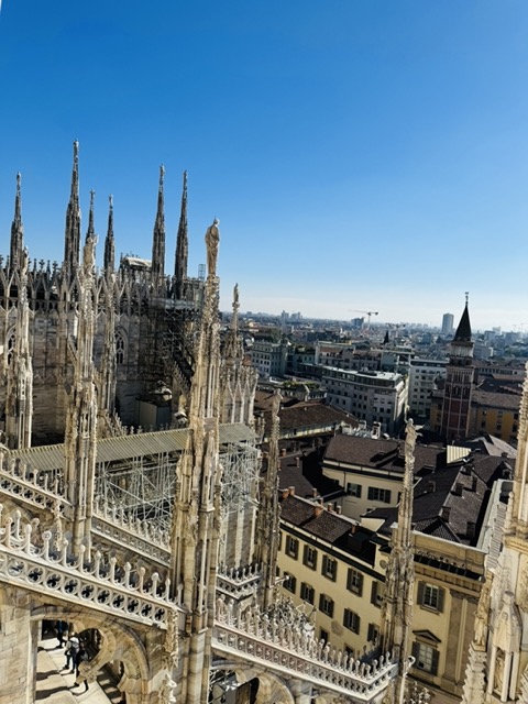 Milan City View