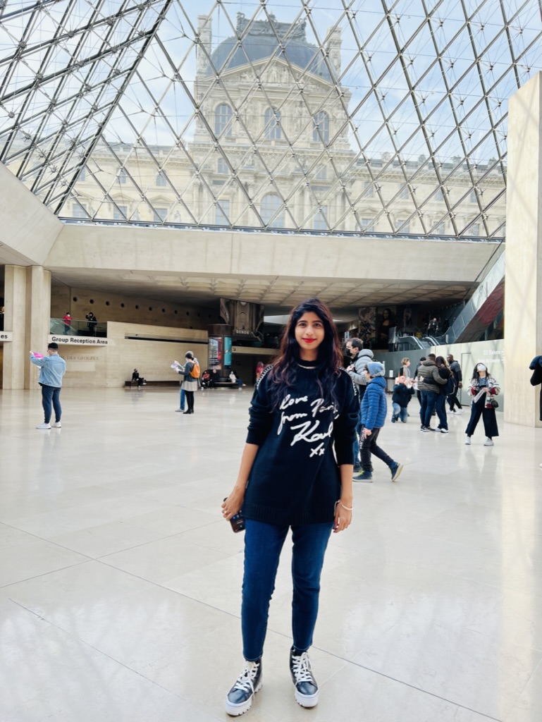 Louvre Museum view 5