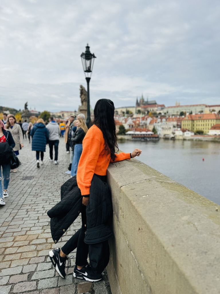 Charles Bridge view 3