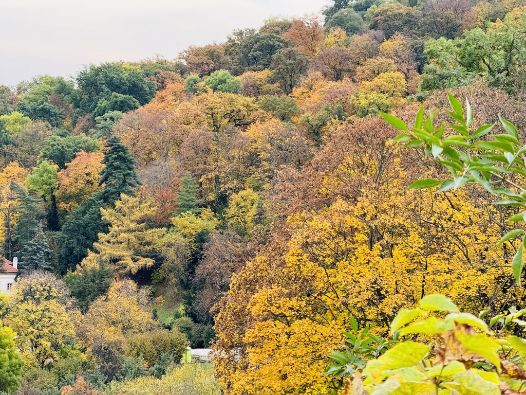 Fall Colors of Prague view 3
