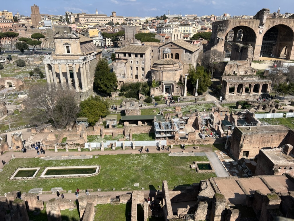 Roman Forum view 2