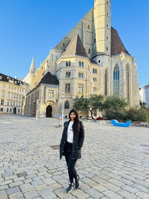Vienna Streets